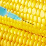 corn-and-needle